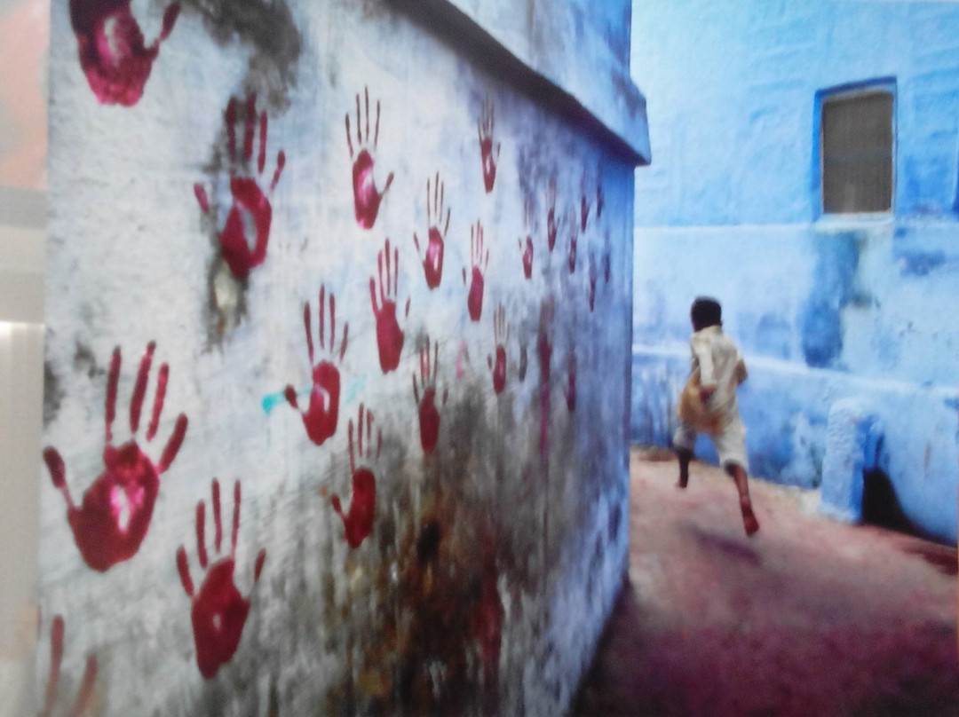 Mostra Steve Mc Curry-韦纳里亚雷亚莱必去景点