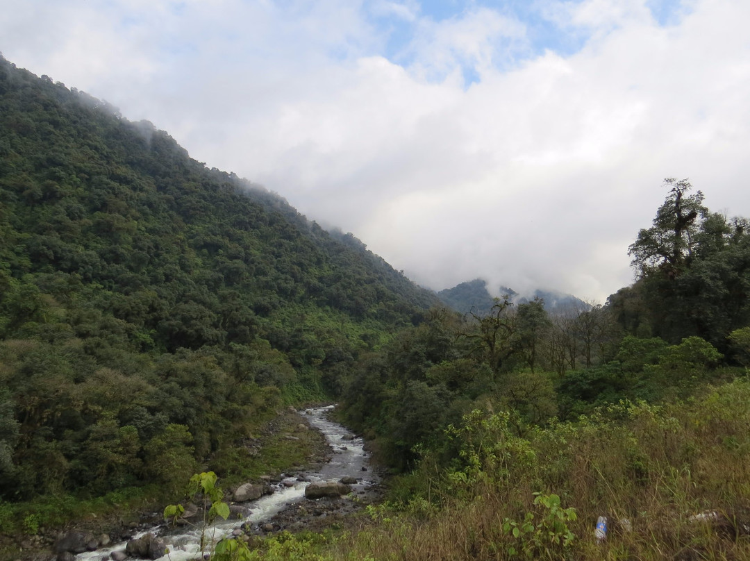 Reserva Natural Los Sosa景点图片
