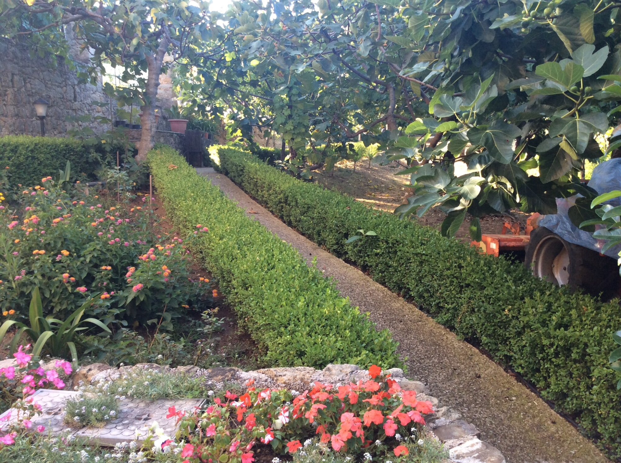Villa Vincenza Country House-酒店景观