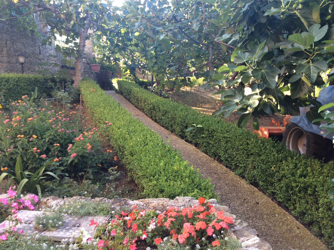 Villa Vincenza Country House主图