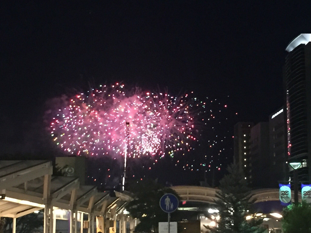 Toyota Oiden Festival Fireworks-丰田市必去景点