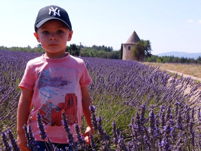 Elora Tours Provence-阿维尼翁必去景点