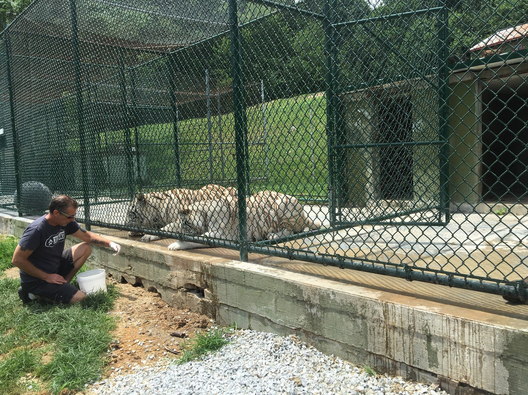 East Coast Exotic Animal Rescue-Fairfield必去景点