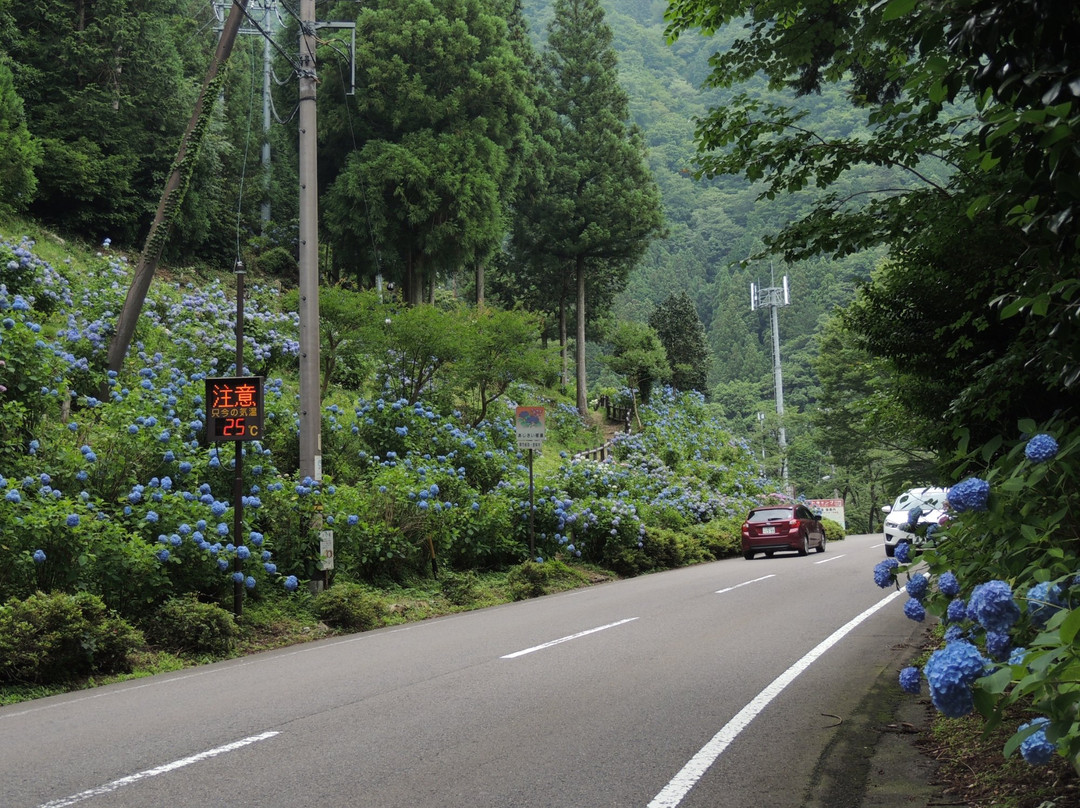 Ajisai Road-关市必去景点