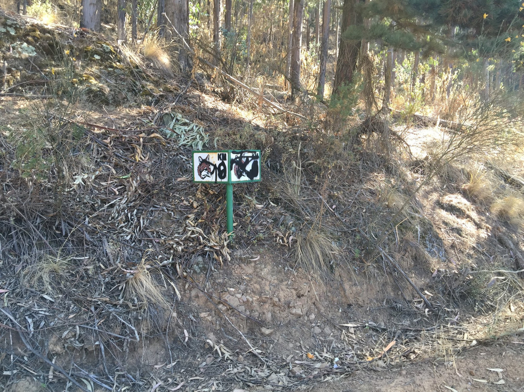 Parque Nacional Tunari-科恰班巴必去景点