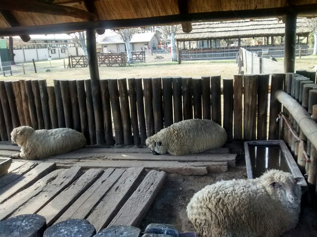 La Granja de la Infancia景点图片