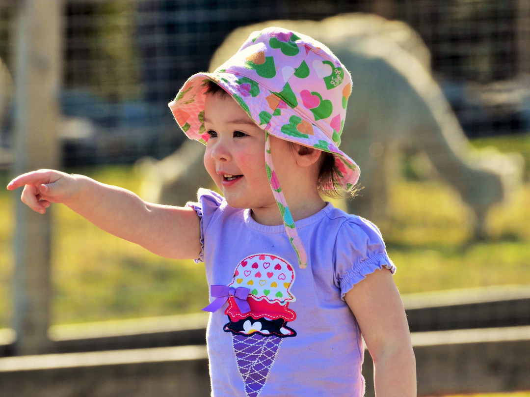 Alpagas Sutton-Sutton必去景点