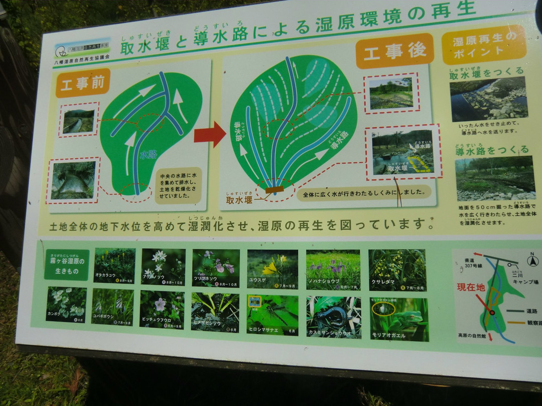 Yawata Wetlands景点图片