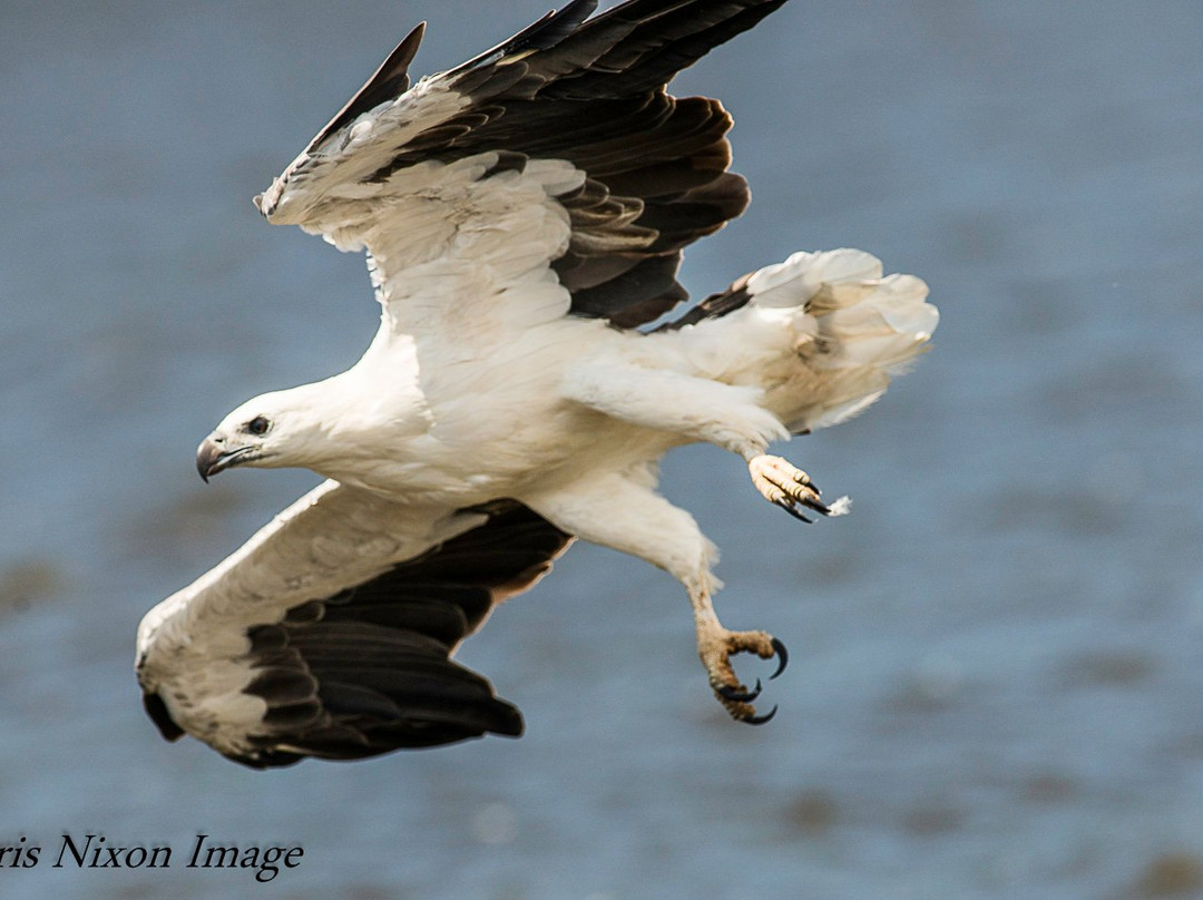 Camden Haven Cruises-Laurieton必去景点