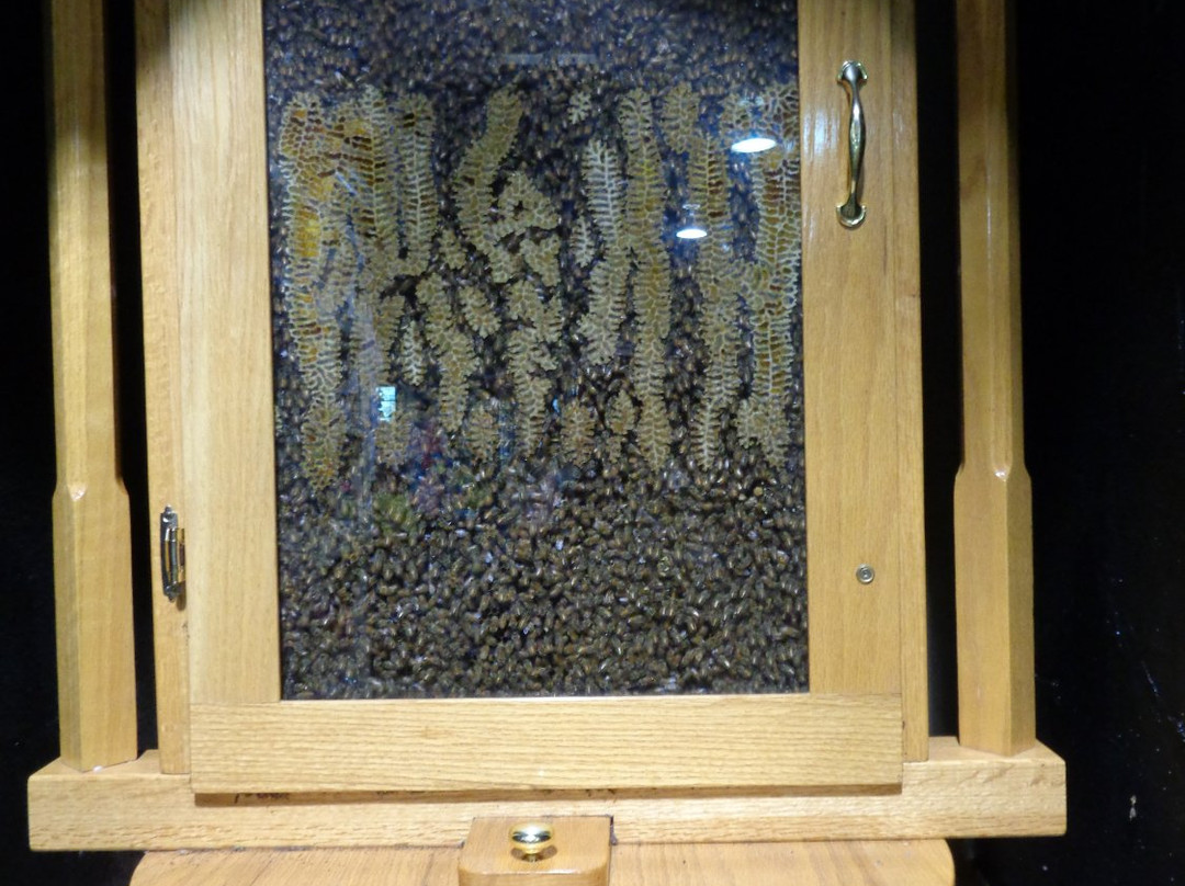 The Market at Rutland Farms-蒂夫顿必去景点