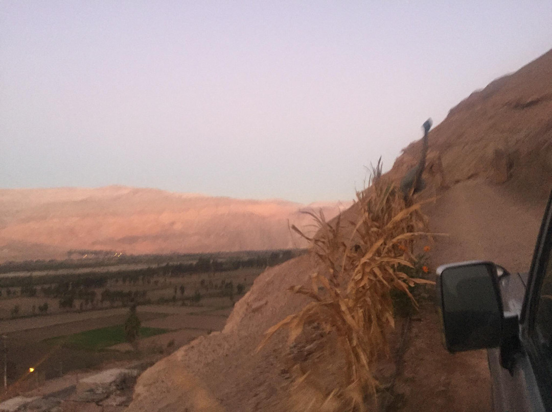Parque Jurasico de Querulpa-阿雷基帕必去景点