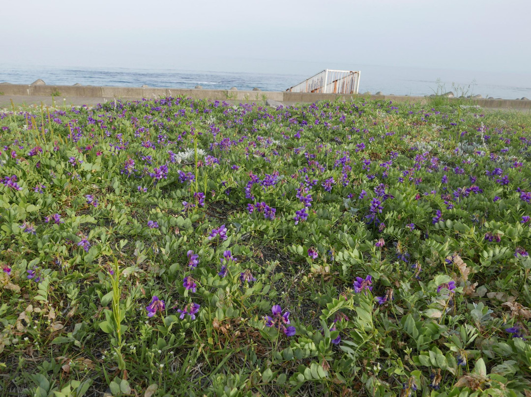 Ayoro Hot Spring-白老町必去景点