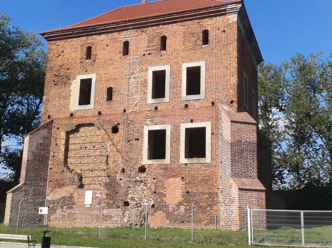 Gołańcz Castle景点图片