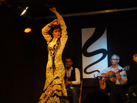 Juglar x Flamenco-马德里必去景点