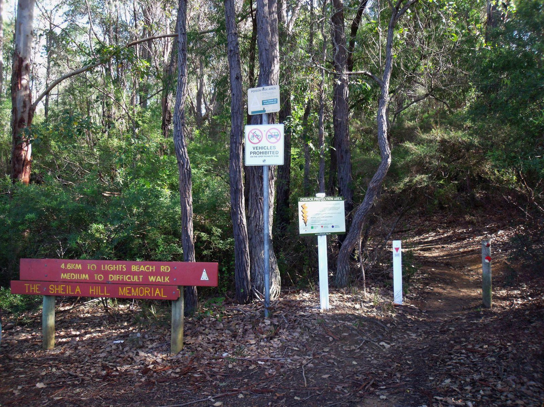 Sheila Hill Walk Trail-丹麦必去景点