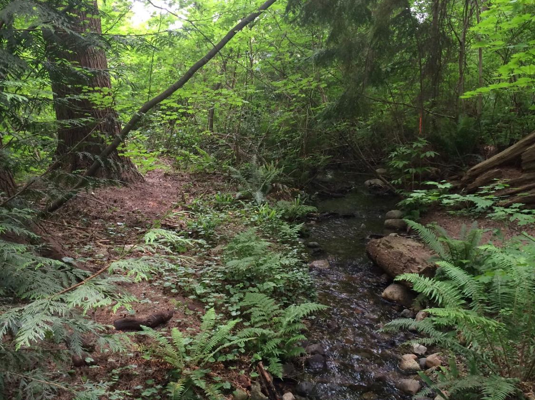 Mosquito Creek Hiking Trail-北温哥华必去景点