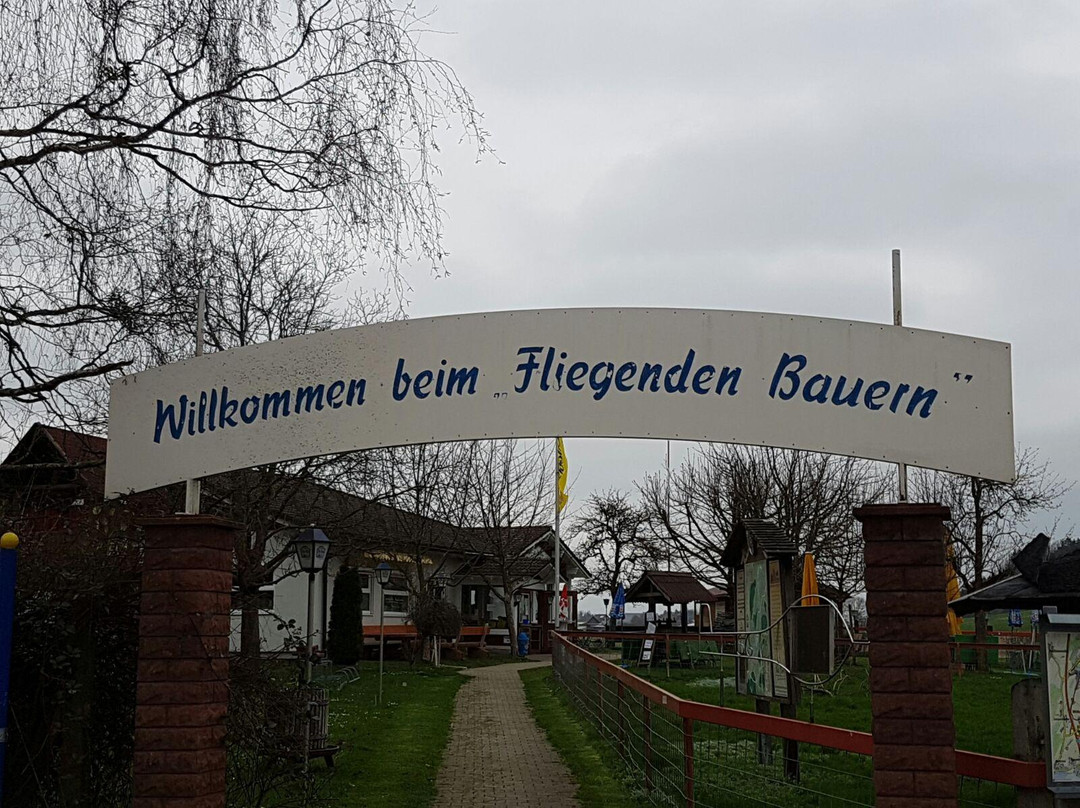 Hergensweiler旅游攻略图片