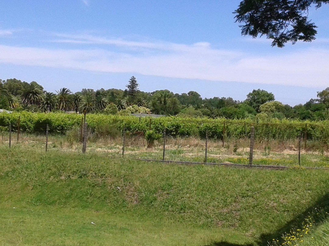 Nueva Helvecia旅游景点-Bernardi Winery