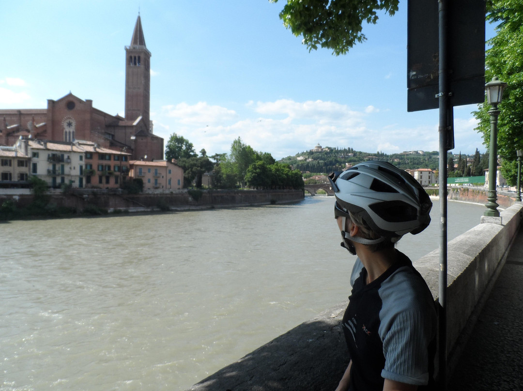 Bike Veneto - Rent a Bike, Excursions and tours by bicycle景点图片