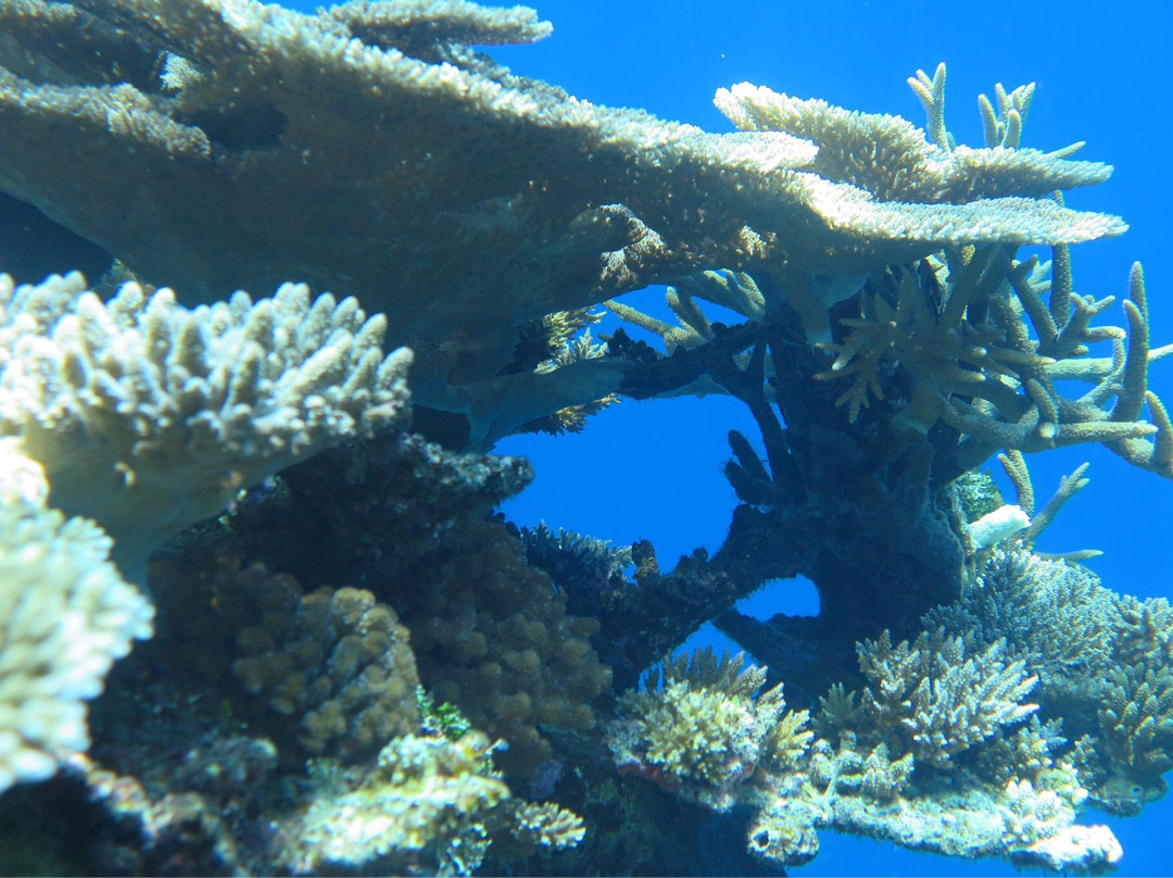 HP暗礁-满月岛必去景点