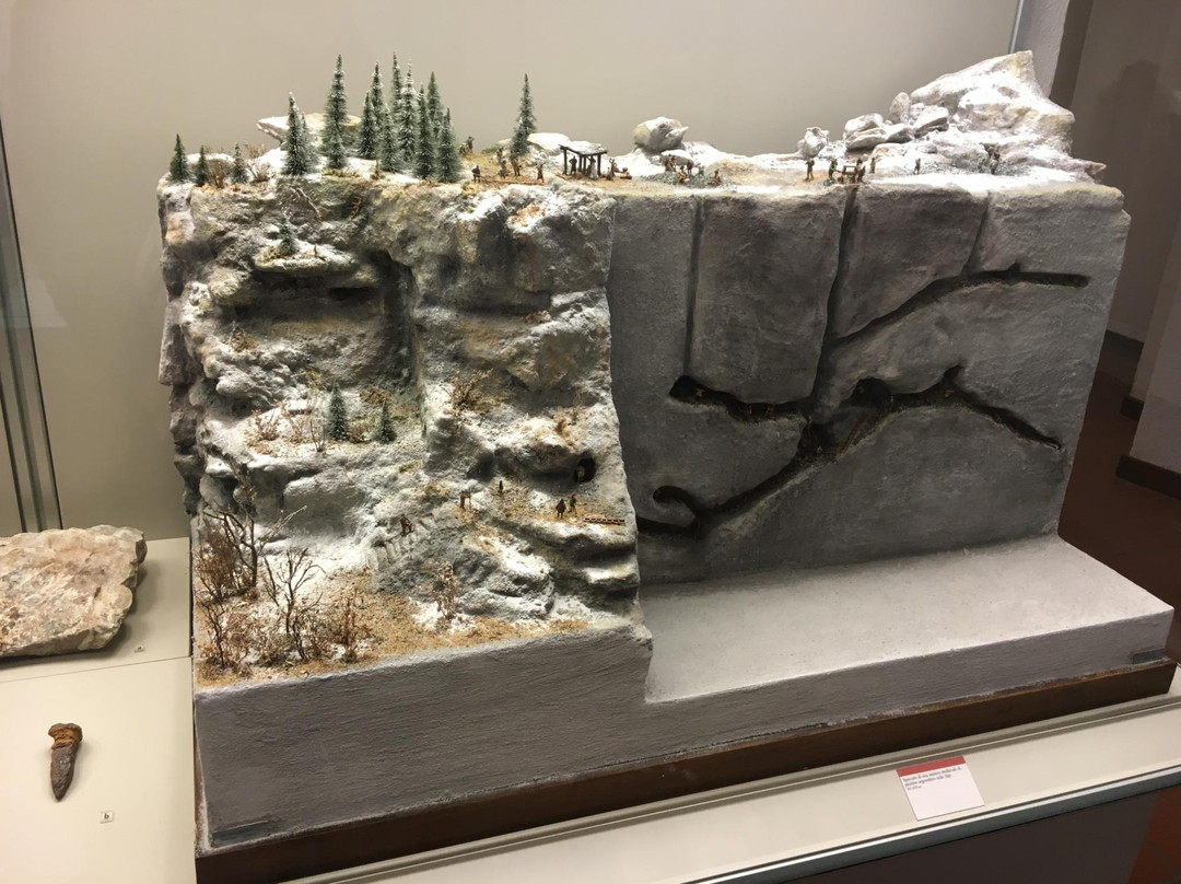 Museo di Storia Naturale di Lecco-莱科必去景点