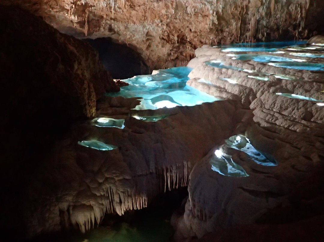 Okinoerabujima Caving Gaid Union景点图片