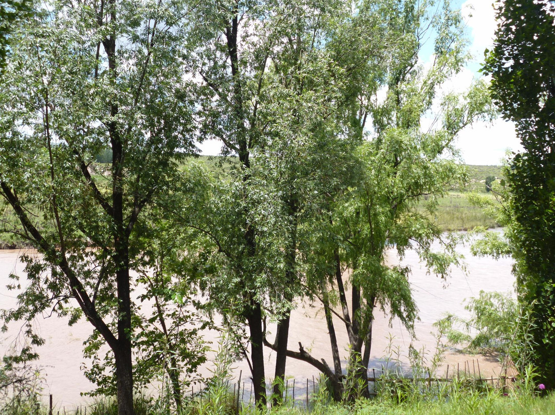 Parque de la Lombardia景点图片
