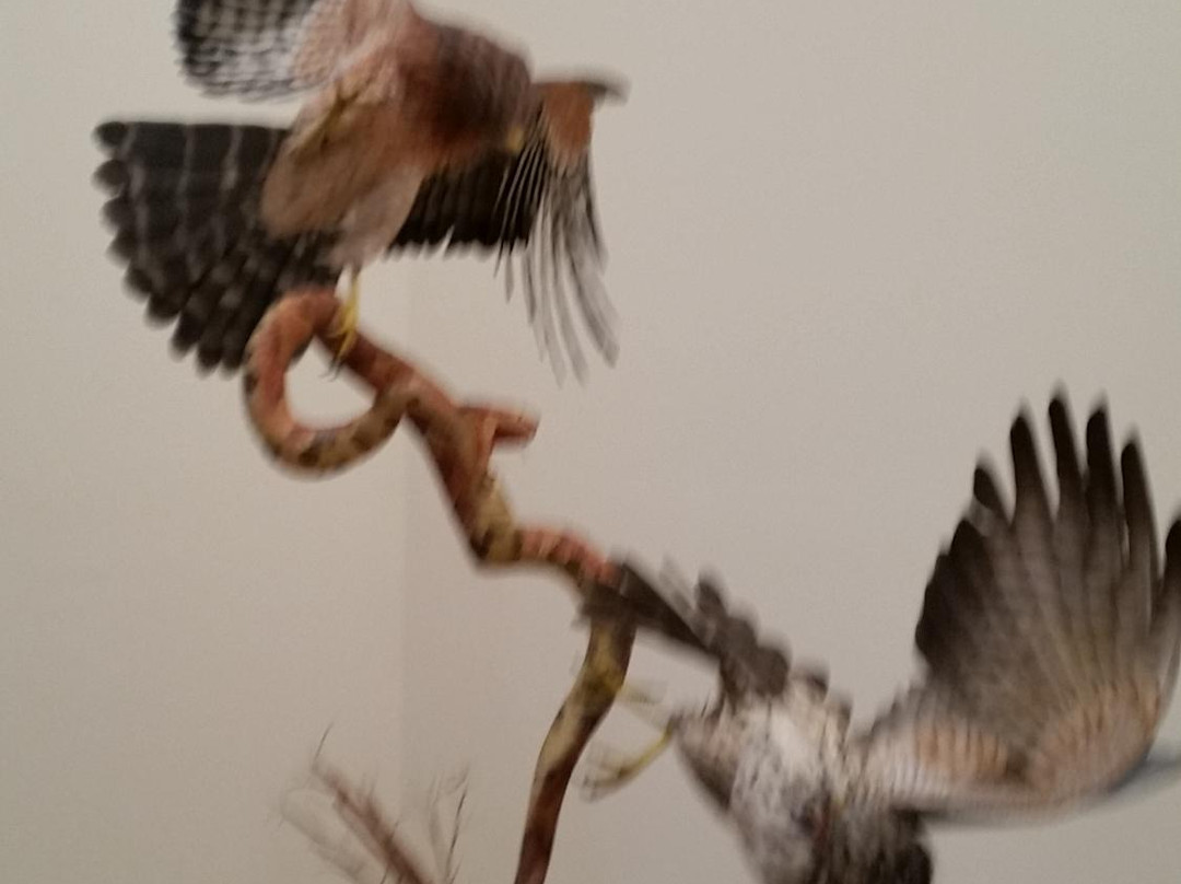 Greenville County Museum of Art景点图片