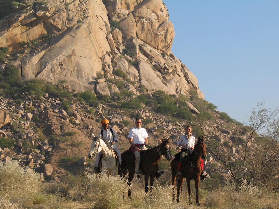 Siana Camps & Safaris