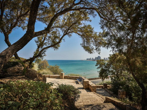 Experience Israel with Ori Abramson