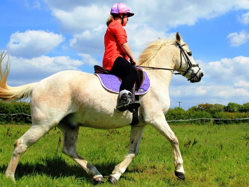 Rein and Shine Equestrian Centre-斯温顿必去景点