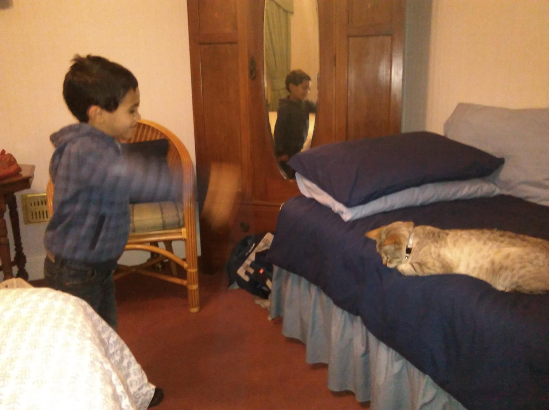 Plaegan House Bed and Breakfast主图