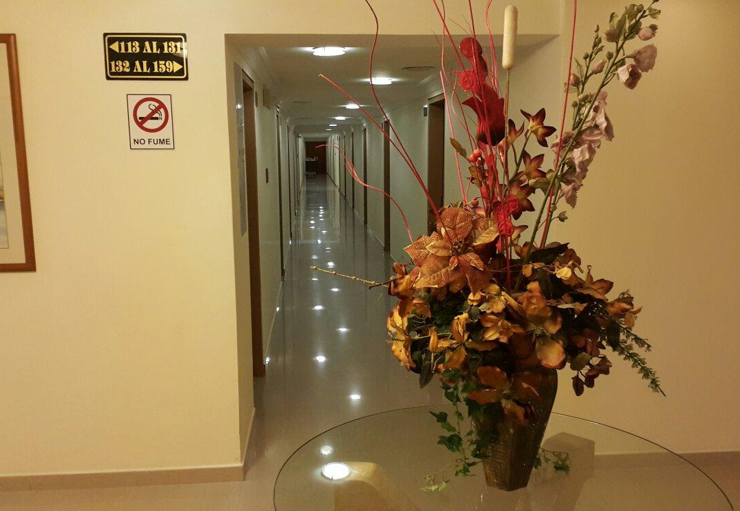 Hotel Dinastía主图