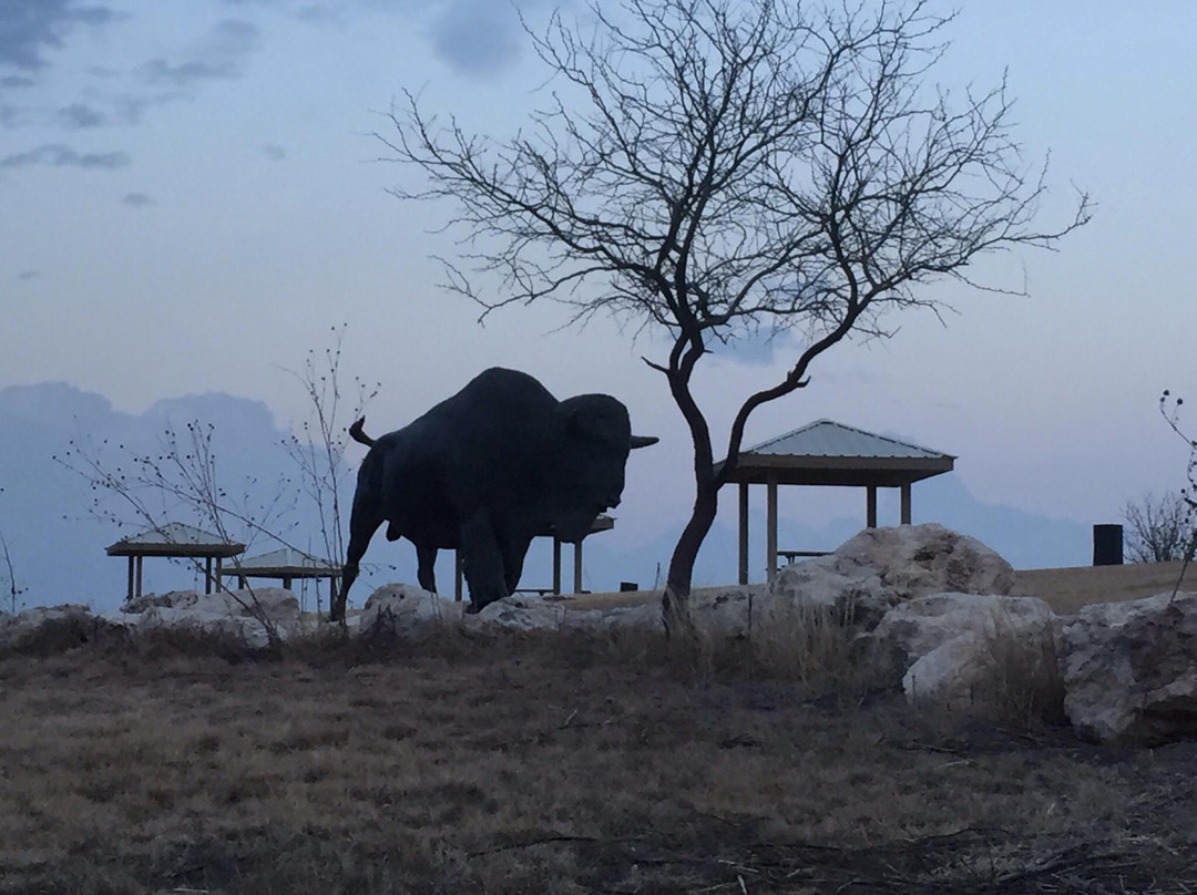 Lubbock Lake Landmark-拉伯克县必去景点
