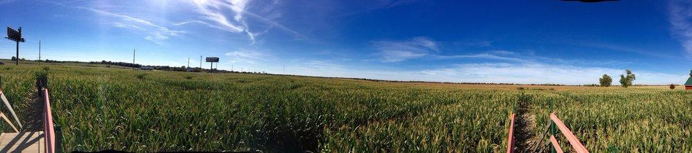 Shryocks Callaway Farms-哥伦比亚市必去景点