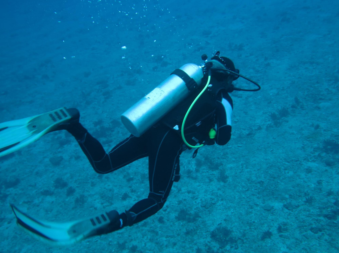 Volcano Island Divers-莱纳克尔必去景点