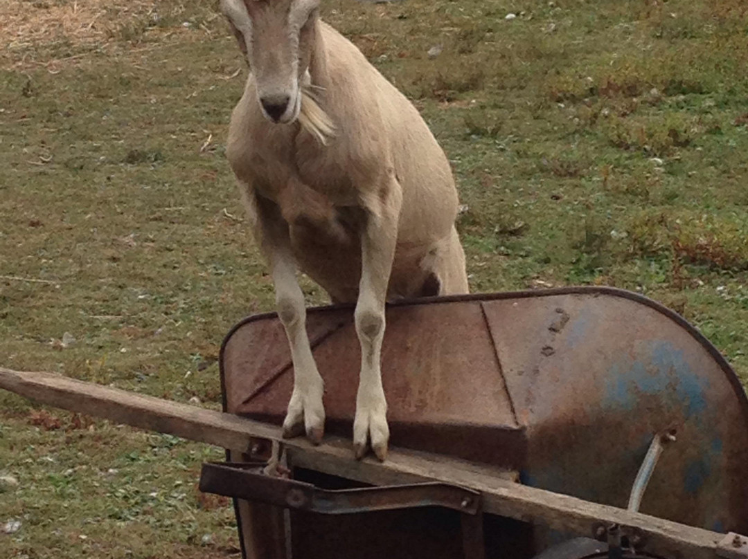 新疆尊茂鸿福酒店主图