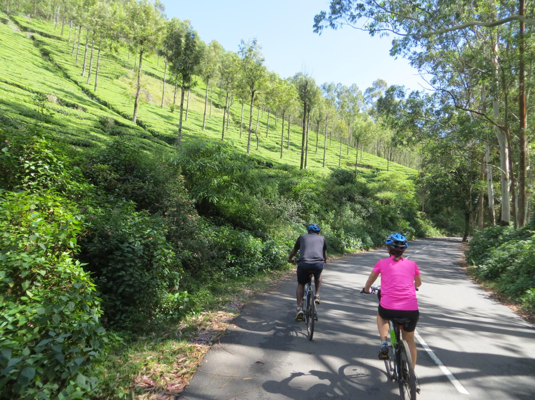 Kerala Bicycle Trips景点图片