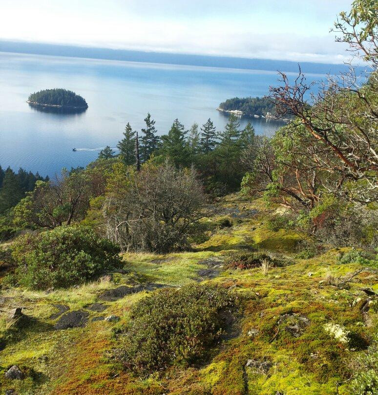 Pender Hill Park-马德拉公园镇必去景点