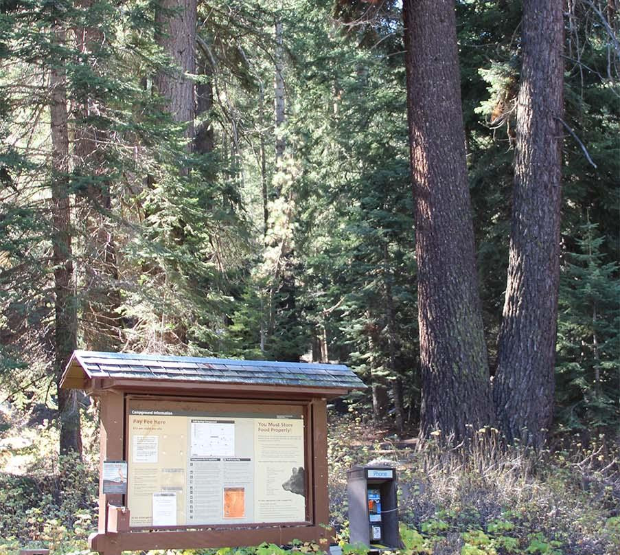 Cold Springs Campground
