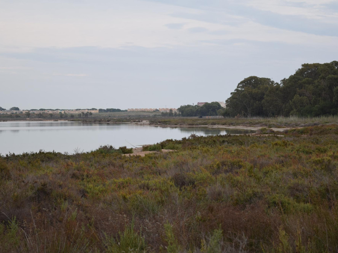 Parc Natural de les Llacunes de La Mata i Torrevella景点图片