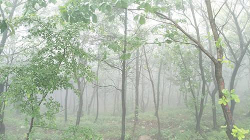 沂蒙山龟蒙景区（原平邑蒙山）-平邑县必去景点