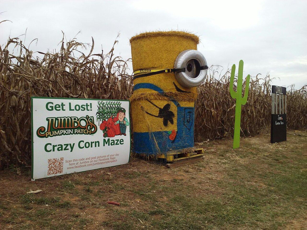 Jumbo's Pumpkin Patch-Middletown必去景点