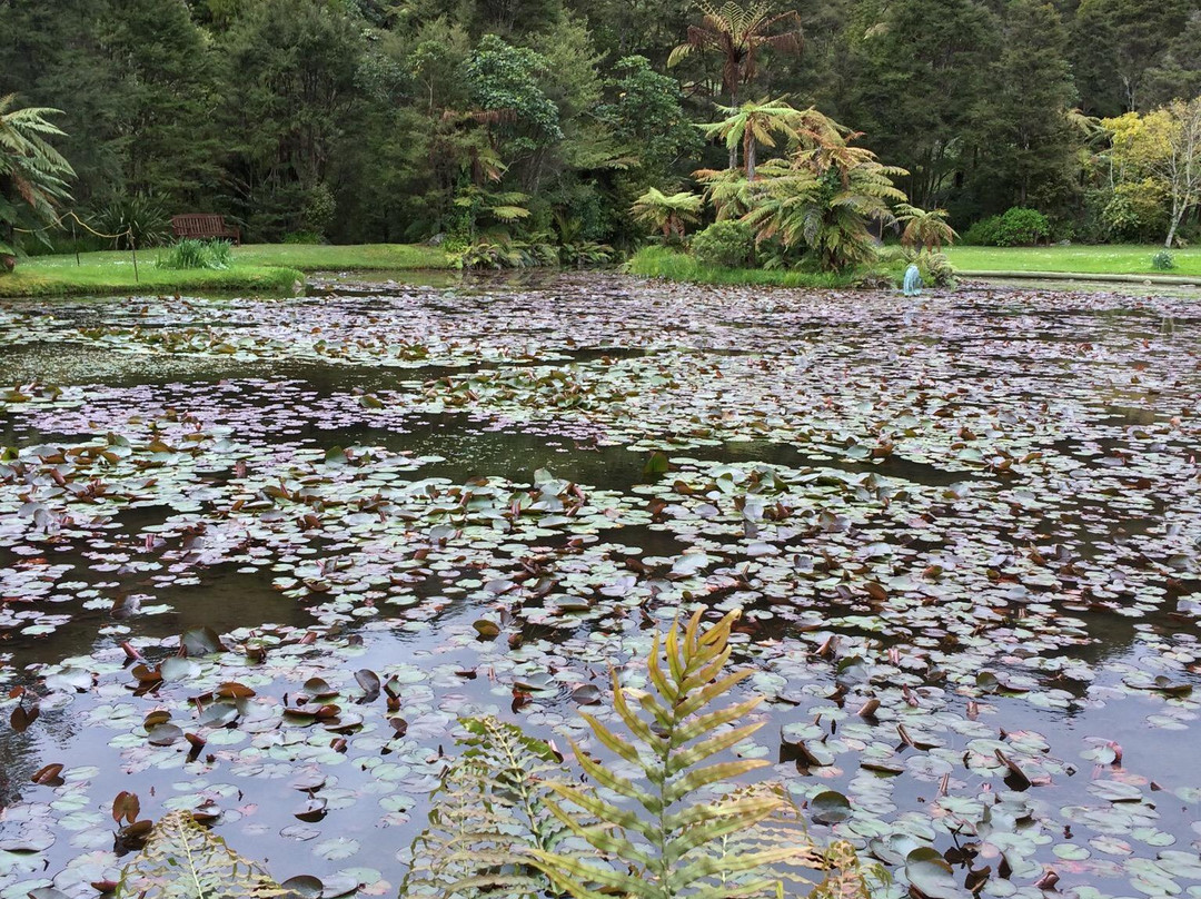 RAPAURA Watergardens-Thames必去景点