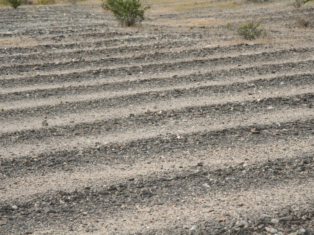 Mystic Maze-尼德尔斯必去景点