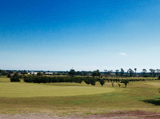 Golf Club Metaponto-Bernalda必去景点