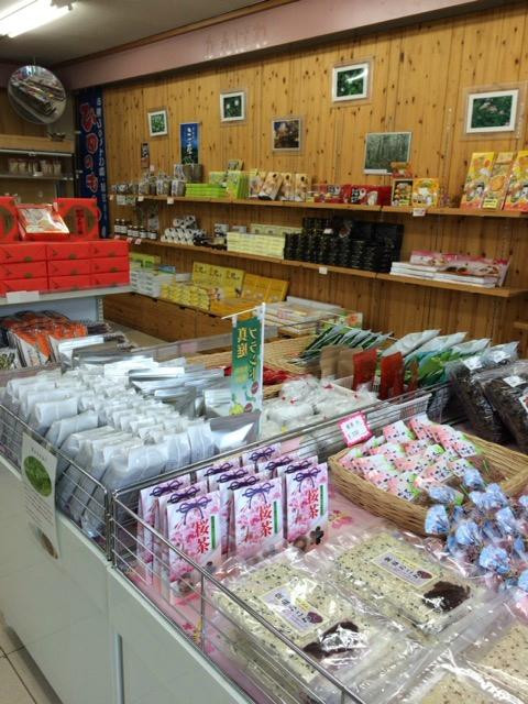 Marchen-no Sato Shinjo Michi-no-Eki-新庄村必去景点