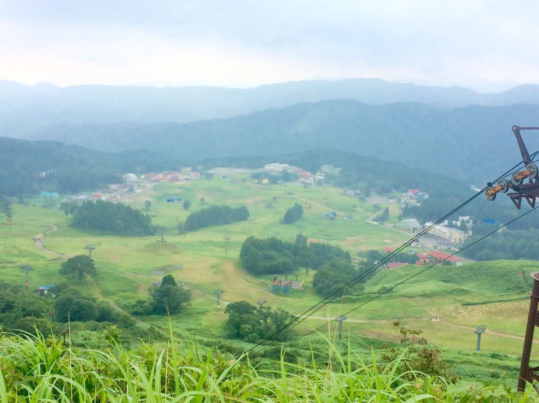 Hachi Highlands-养父市必去景点