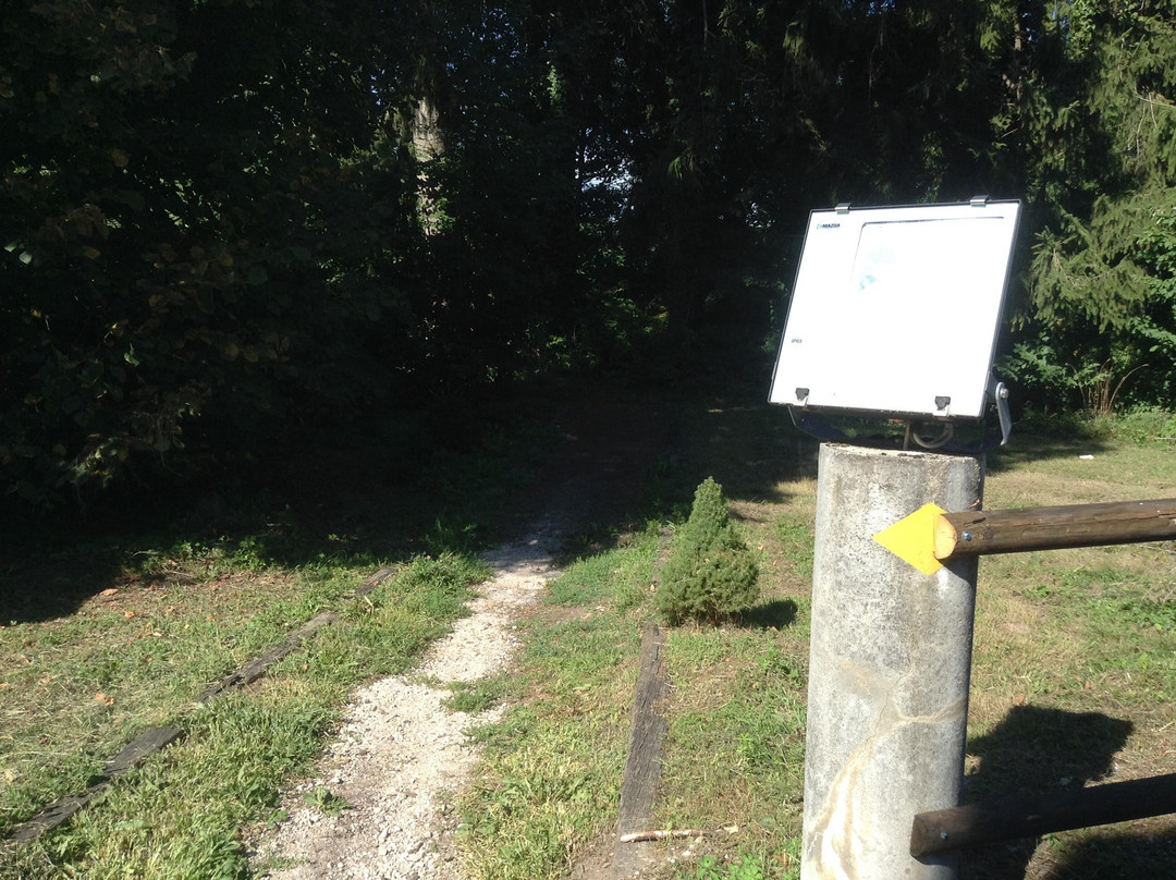 Bassins旅游攻略图片