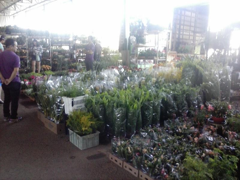 CEAGESP Sorocaba-索罗卡巴必去景点